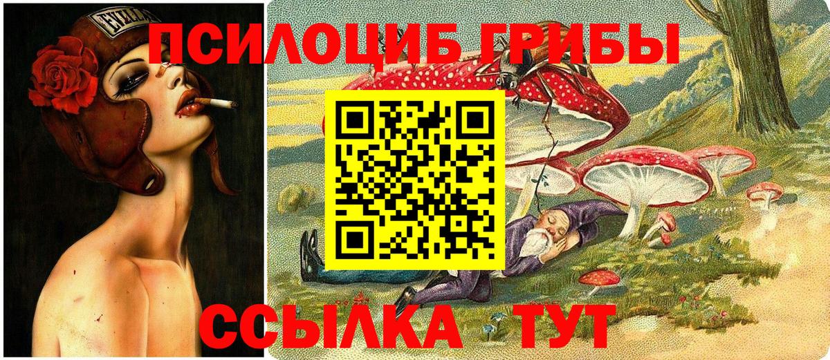 Галлюциногенные грибы MAGIC MUSHROOMS  Вход с VPN  Бор 
